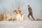 Training outside in cold snowy weather with beagle dog.