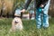 Training of pedigree dogs. A woman strokes her Pomeranian in the park