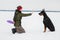 Training and playing with dogs Dobermans on a snowy field