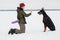 Training and playing with dogs Dobermans on a snowy field