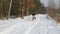 Training sled dogs on rural road