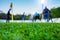 Training soccer players on football stadium. Green grass at fore