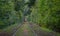 Tram goes through a tunnel in the forest