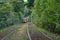 Tram goes through a tunnel in the forest