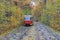 Tram goes through a tunnel in the forest