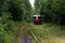 Tram line runs in the dense thickets of forest. Old red tram at the perspective distance. Tram goes through a tunnel in the forest