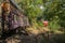 Tram and old tram in forest