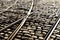 Tram rails on the cobblestones of the street