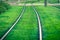 Tram rails covered with green grass