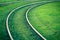 Tram rails covered with green grass