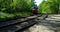 The tram rides on rails in the middle of the forest