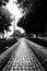 Tram tracks on a cobblestone street in Porto, Portugal. Black and white image