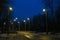 Tram tracks in the light of evening lights