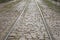 Tram Tracks, Riga, Latvia