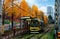 A tramcar parking at a station of Tokyo Sakura Tram Toden Arakawa Line by a row of Ginkgo trees Gingko, Maidenhair