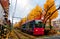 A tramcar travels on the tracks of Toden Arakawa Line by a row of Ginkgo trees  Gingko, Maidenhair