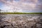 Trampled Ground Cracks on Trail to Costal Prarie