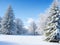 Trampled Path Through a Snow-Covered Lawn Leading to the Enchanting Forest.