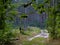 A trampled road and a small fence in the forest