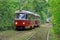 Trams with the lights on in the forest tunnel