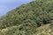 Tramuntana oak  forest on Cres island