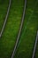 Tramway rails among grass top view. Poznan, Poland