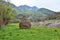 Tranditional hay piles in the mountain