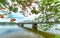 Trang Tien Bridge looming flamboyant side branches reflecting on the river