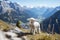 Tranquil alpine beauty. charming image of petit sheep strolling amidst lush meadows