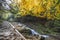 Tranquil autumn footpath along the stream through forest