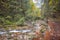 Tranquil autumn footpath along the stream through forest