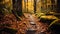 Tranquil autumn forest, vibrant colors, hiking adventure generated by AI