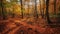 Tranquil autumn forest, vibrant leaves, peaceful hike generated by AI