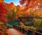 Tranquil autumn scenery with colorful foliage