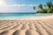 Tranquil beach scene with sandy shores, blue sea, palm trees, and clear sky on a sunny day