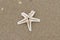 Tranquil beach setting with a starfish on the sand