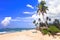 Tranquil beautiful beaches of Sri Lanka island. Tangalle