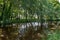 Tranquil canal scene river dappled sunlight in Cheshire, England