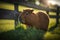 Tranquil Capybara with gleaming fur grazing in lush green field, generative AI
