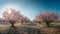 Tranquil cherry blossom meadow, green tree growth, bright pink flower generated by AI