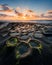 Tranquil coastal landscape featuring potholes at Hospitals Reef, La Jolla, San Diego