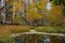 Tranquil Colorado pond at peak of Fall Colors.