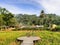 Tranquil Countryside Landscape with Green Meadows and Forest