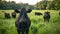 Tranquil cows leisurely grazing in the lush green pastures of the expansive meadow