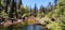 Tranquil creek surrounded by lush and towering trees