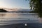 Tranquil dusk scene of Lake Windermere with a Mute Swan in the front