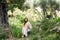 A tranquil embrace in nature: a woman cradles a corgi in a serene olive grove