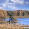 Tranquil fens with a bird colony in autumn, Turnhout, Belgium