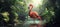 Tranquil flamingo majestic bird in serene waters amidst lush greenery under sunlit skies