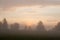 Tranquil foggy grassland at sunrise